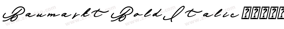 Baumarkt BoldItalic字体转换